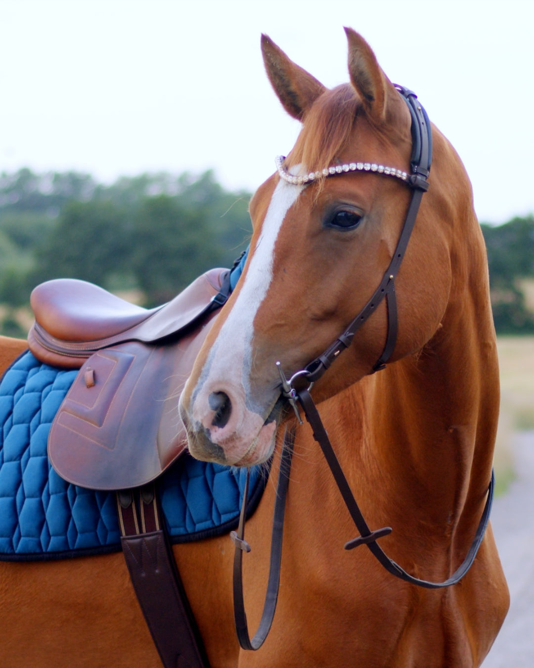 Eos Modular Bridle · Brown · Brass Hardware