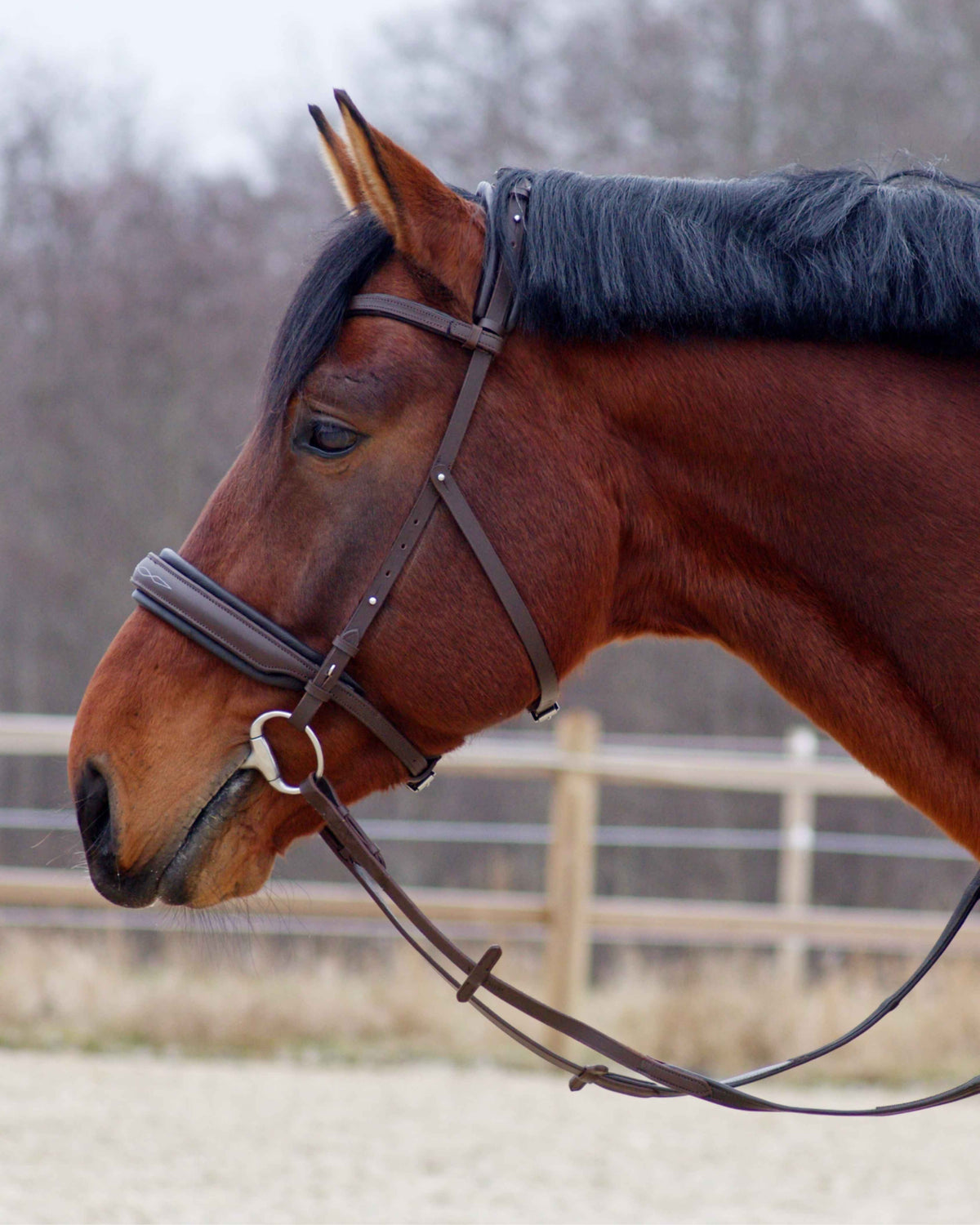 Eos Modular Bridle · Brown