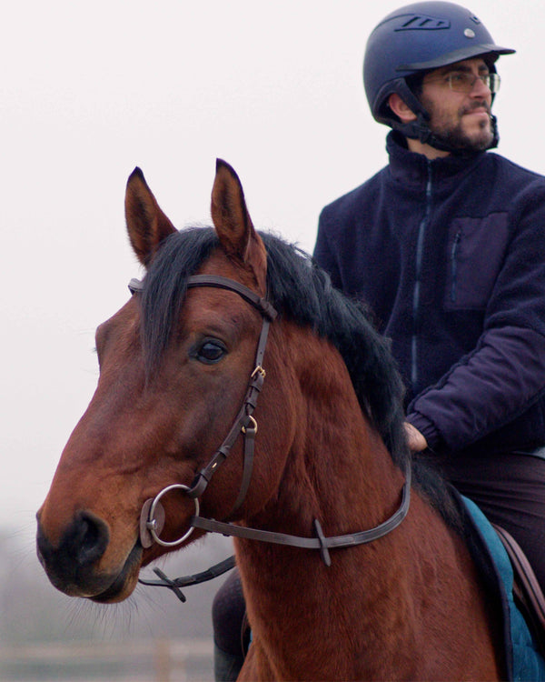 Zenith Freedom Bridle · Brown · Brass Hardware