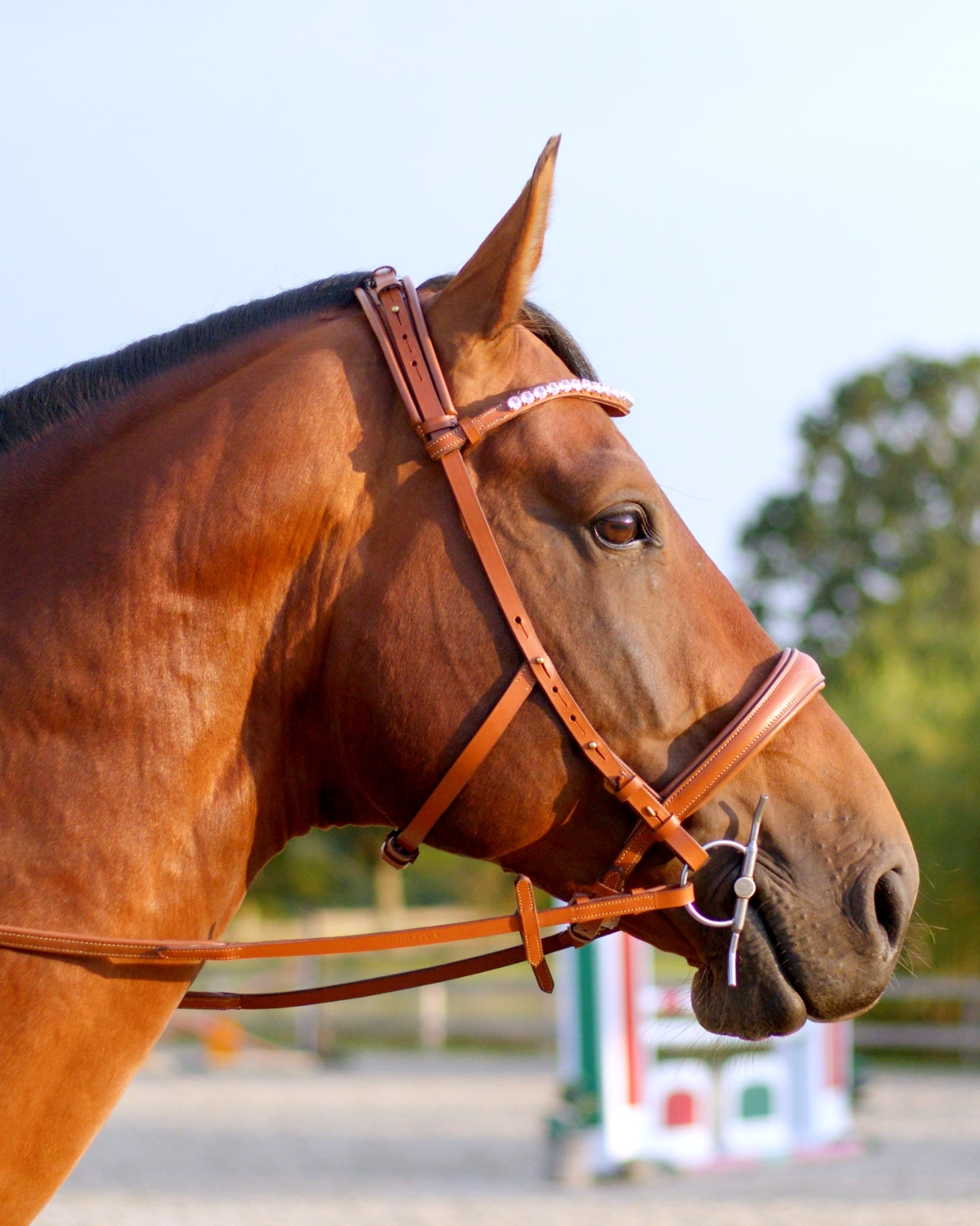 Eos Modular Bridle · Tan