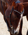 Zenith Freedom Bridle · Black · Brass Hardware