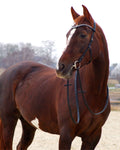 Zenith Freedom Bridle · Black · Silver Hardware