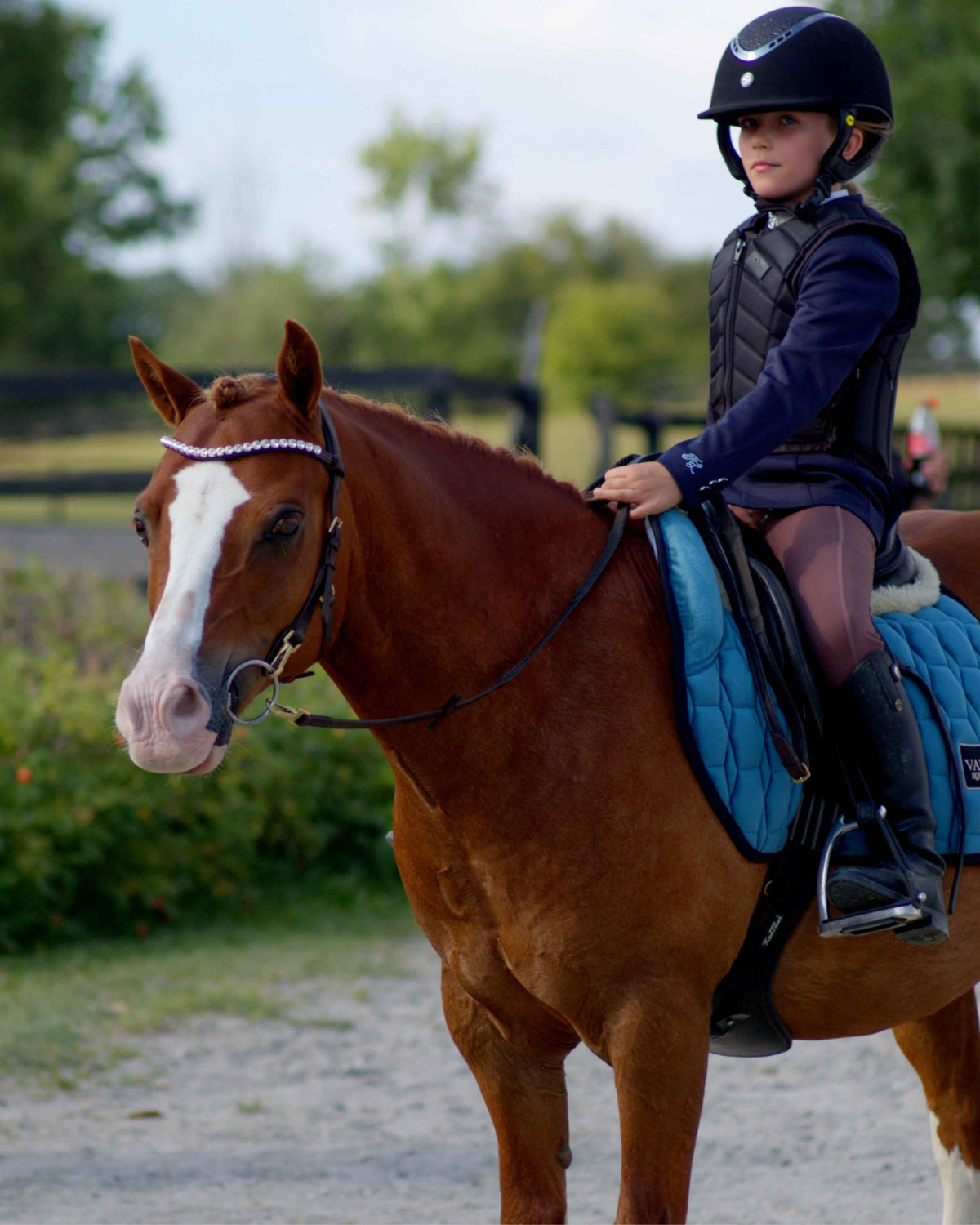 Pony Zenith Freedom Bridle · Brown
