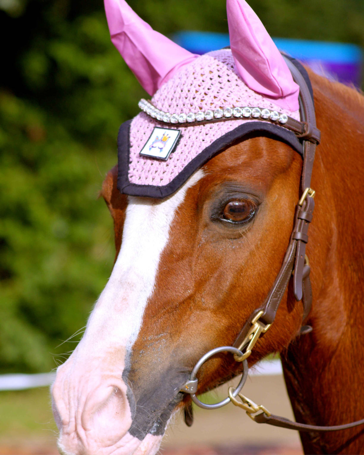Pony Zenith Freedom Bridle · Brown
