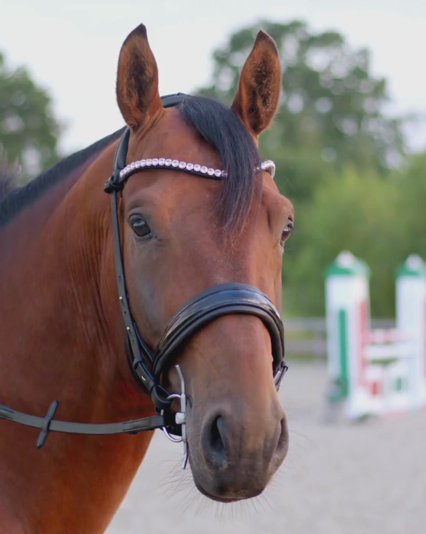 Eos Modular Bridle · Black · Brass hardware