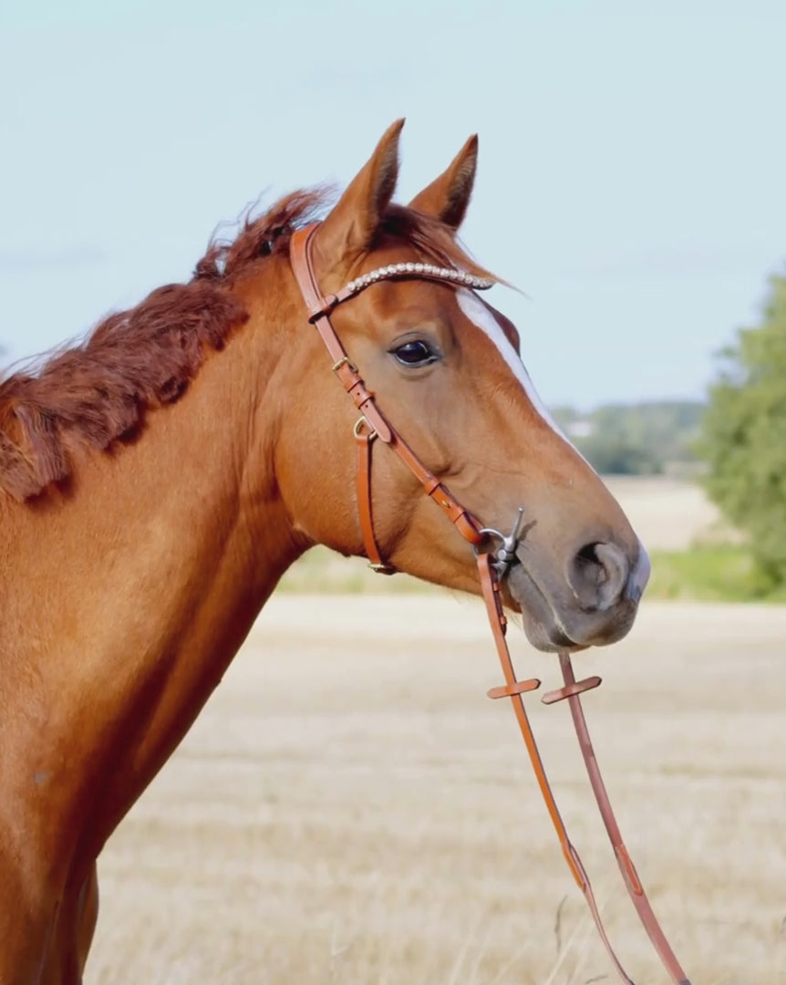 Zenith Freedom Bridle · Tan